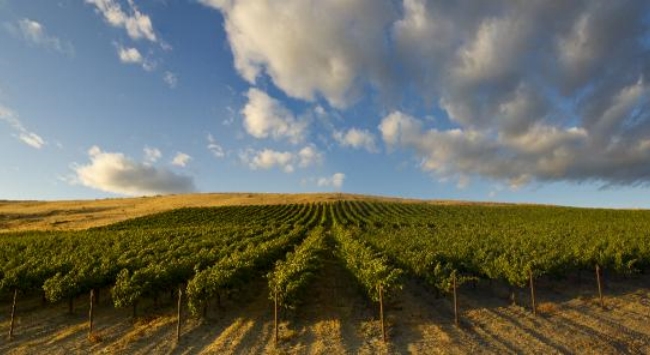 0add6484-1da8-425f-841a-d081d648b61c 0add6484-1da8-425f-841a-d081d648b61c