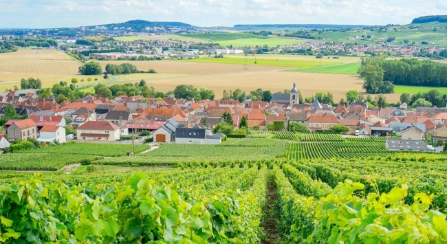 法國(guó)香檳產(chǎn)區(qū) 法國(guó)香檳產(chǎn)區(qū)