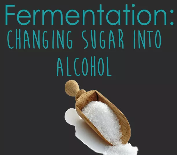 葡萄酒糖分越高，酒精度就越低？